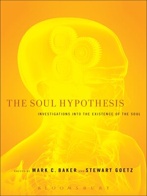 cover image of The Soul Hypothesis